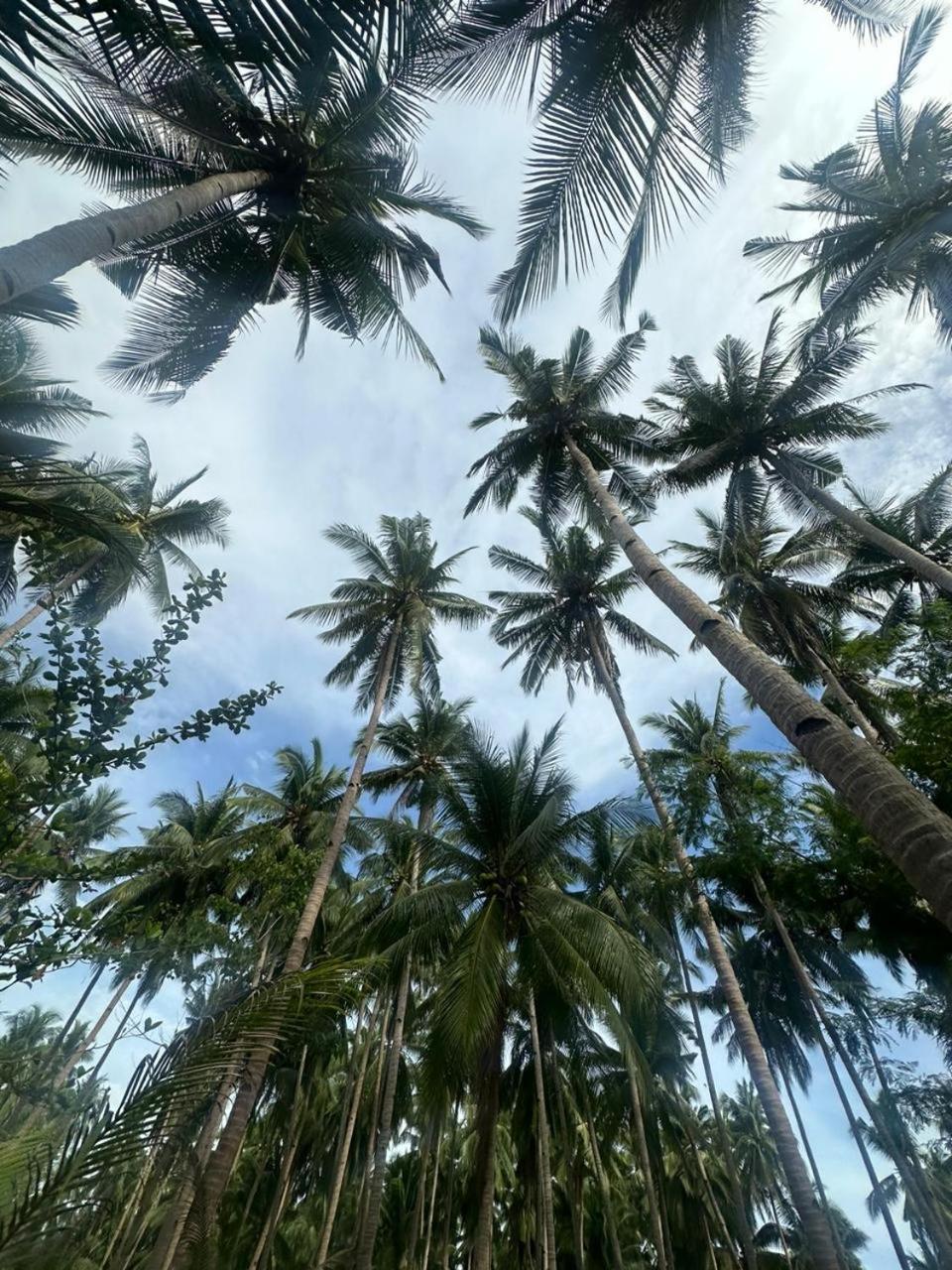 Efrena Agro Tourism Beach El Nido Eksteriør bilde