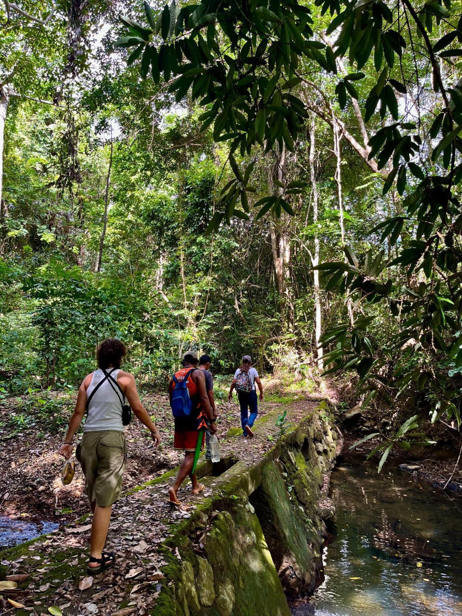 Efrena Agro Tourism Beach El Nido Eksteriør bilde