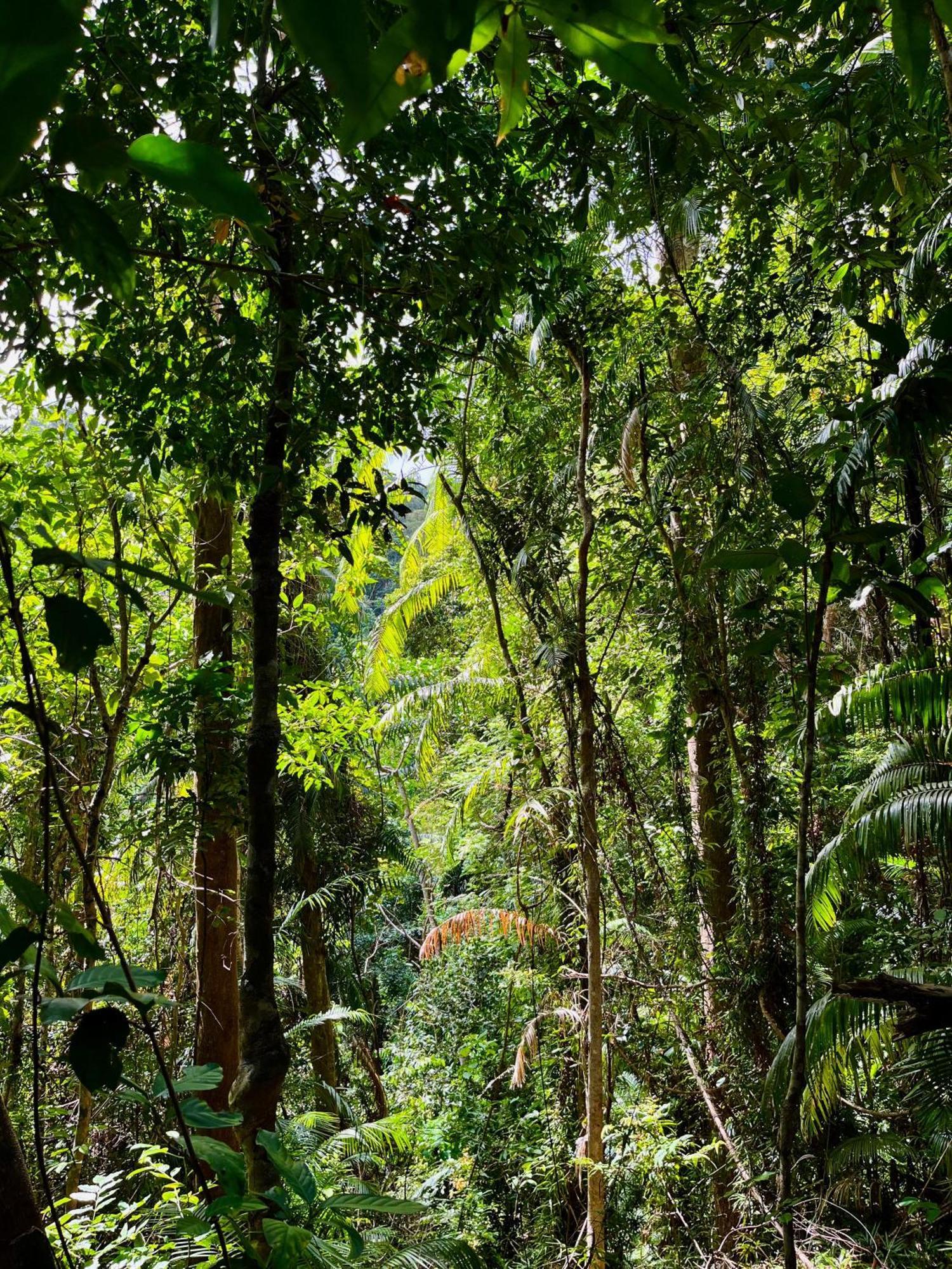 Efrena Agro Tourism Beach El Nido Eksteriør bilde