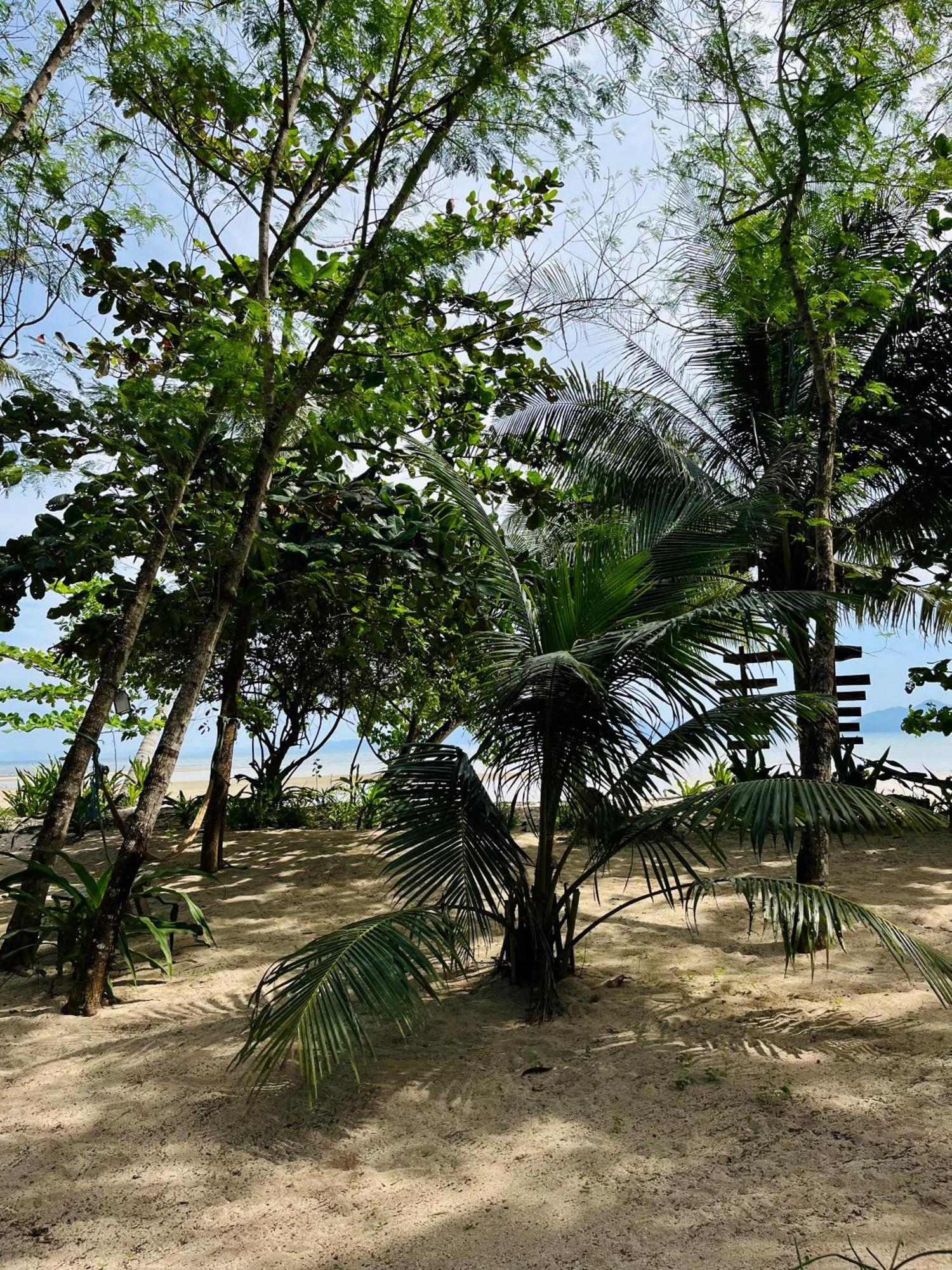 Efrena Agro Tourism Beach El Nido Eksteriør bilde