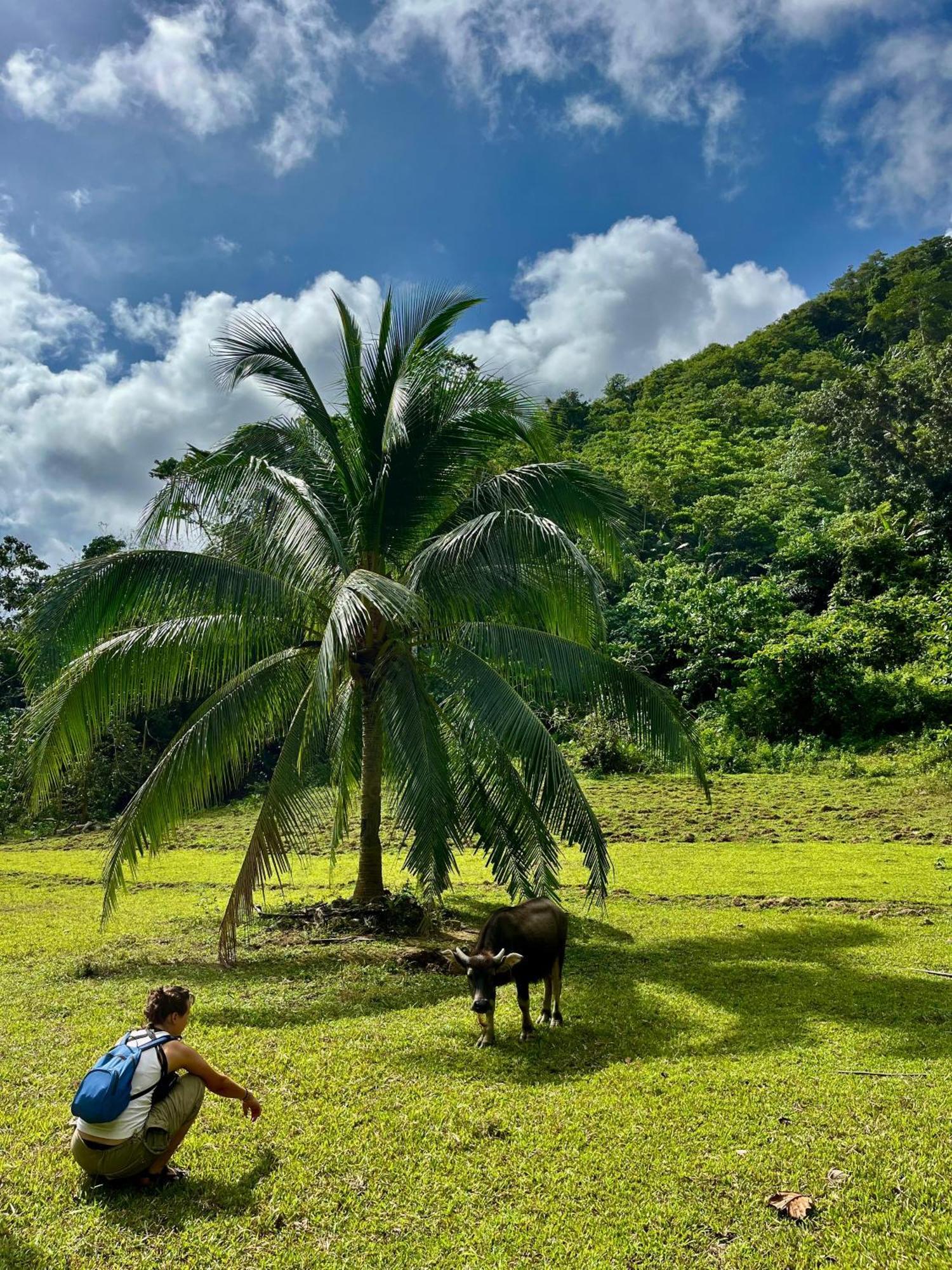 Efrena Agro Tourism Beach El Nido Eksteriør bilde