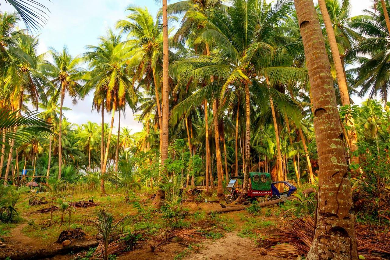 Efrena Agro Tourism Beach El Nido Eksteriør bilde